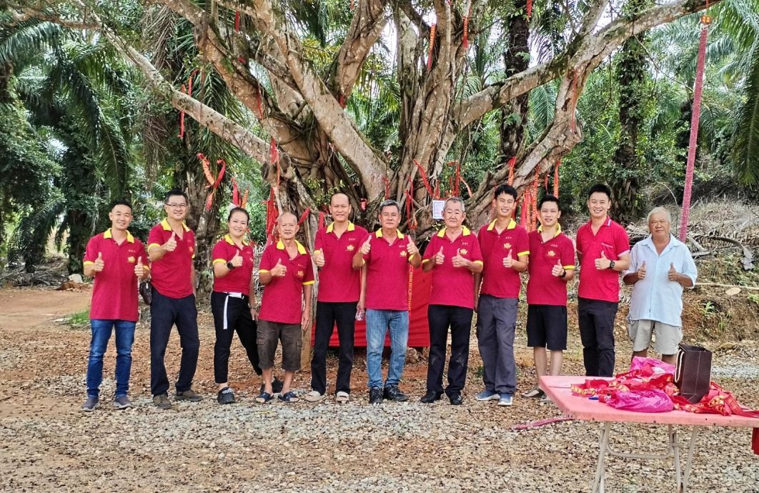 NS主文/金光寺布置许愿树,欢迎民众新年前往拈香打卡