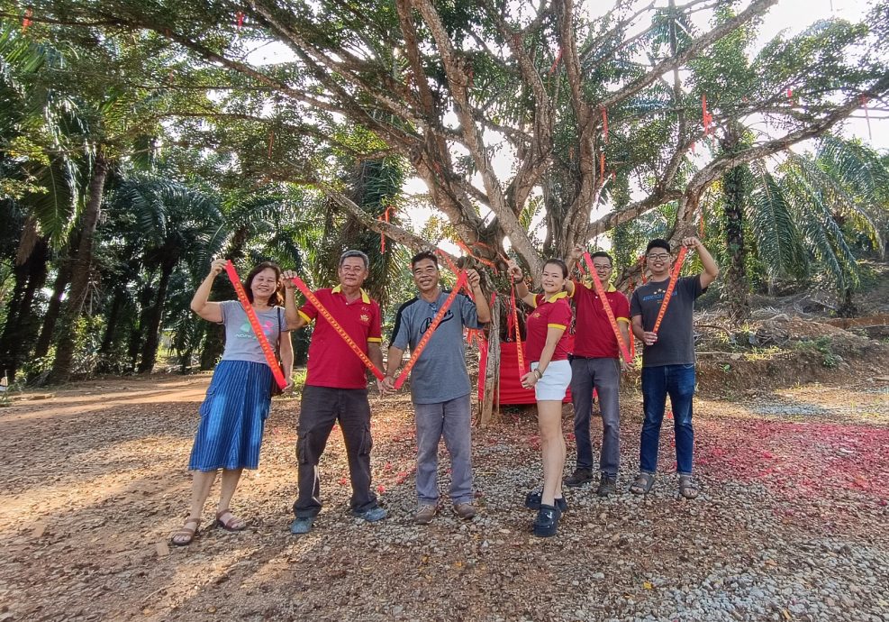 NS主文/金光寺布置许愿树,欢迎民众新年前往拈香打卡