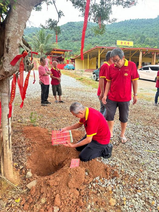 NS主文/金光寺布置许愿树,欢迎民众新年前往拈香打卡