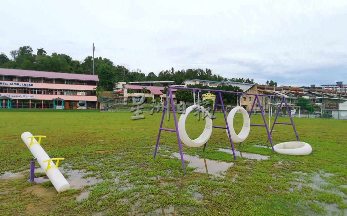 罗白广场启用不到一年,积水成患 树木枯死