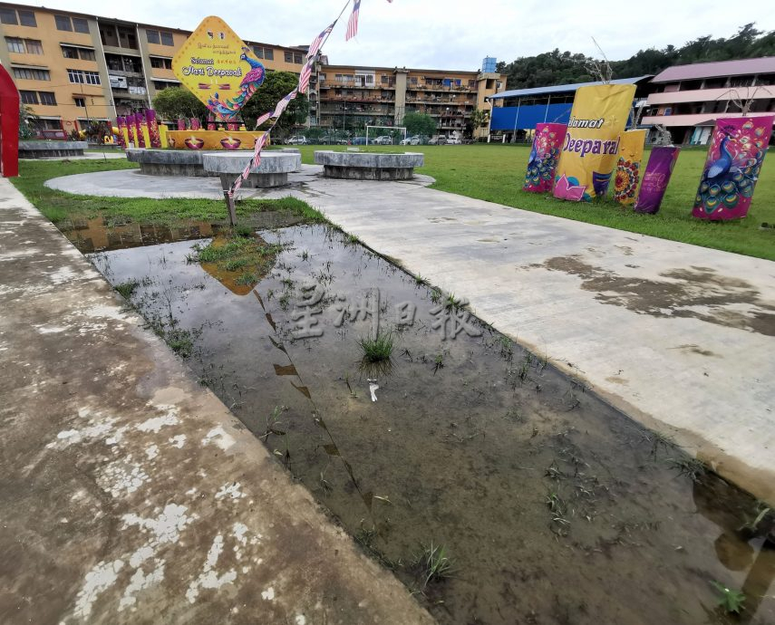 罗白广场启用不到一年,积水成患 树木枯死