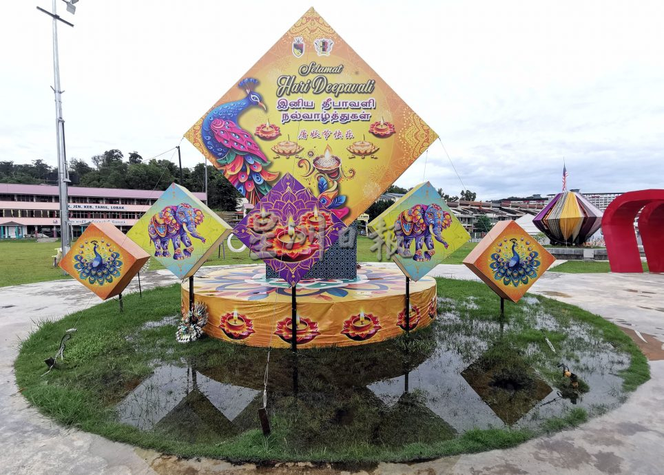 罗白广场启用不到一年,积水成患 树木枯死