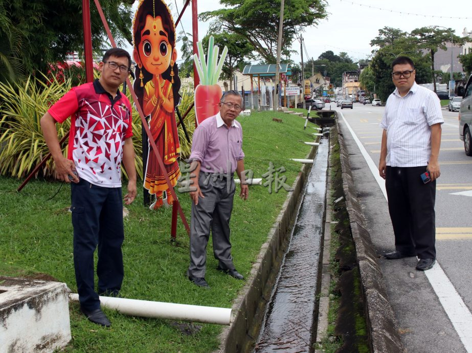 罗白广场启用不到一年,积水成患 树木枯死