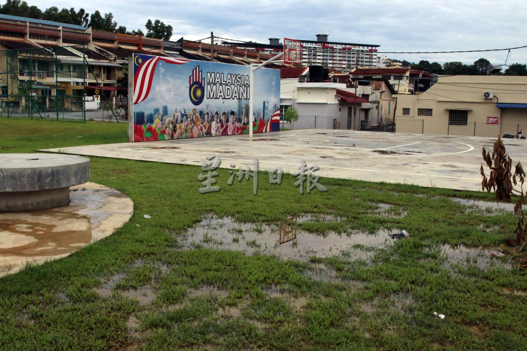 罗白广场启用不到一年,积水成患 树木枯死