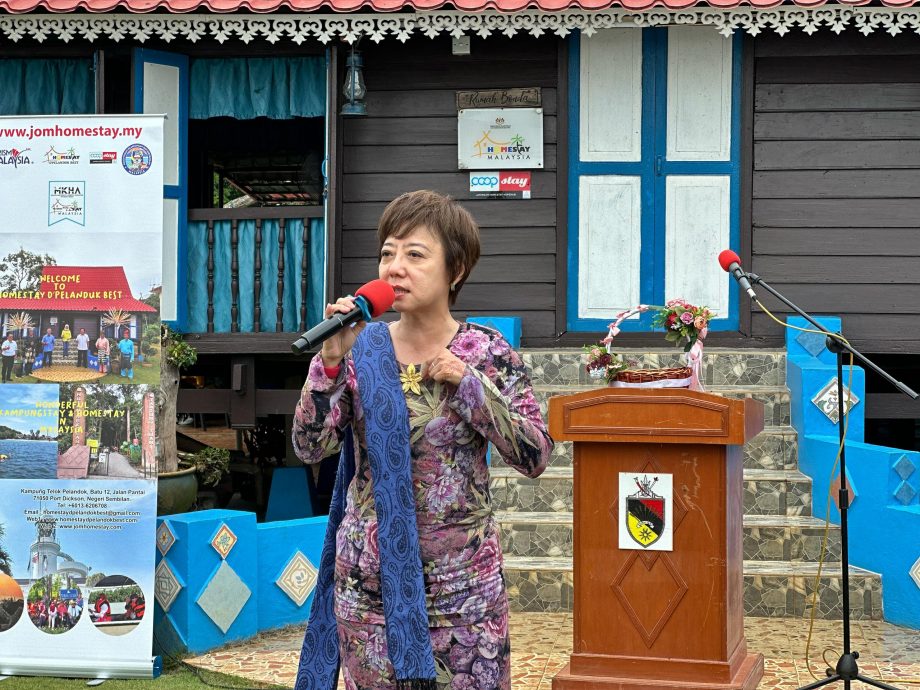 NS芙蓉/陈丽群有意推广新村旅游业 