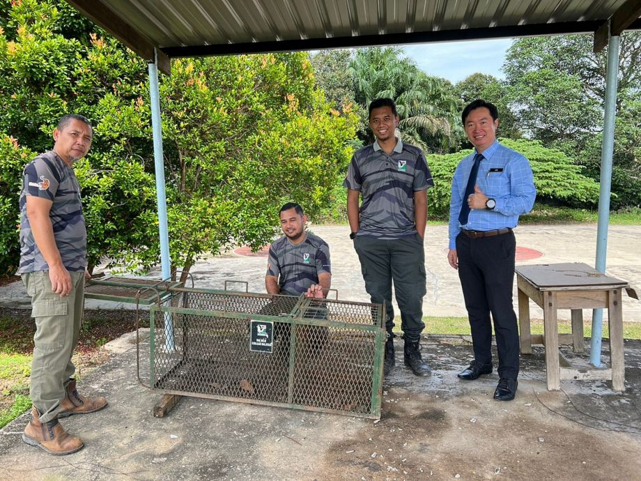 NS马口/猴子大闹弄边中山华小校园 掰开西瓜大快朵颐