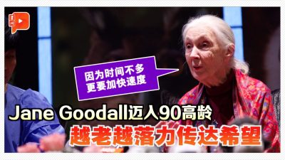 一只狗打脸所有教授 Jane Goodall来马提启蒙“老师”