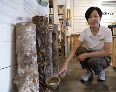 (1月28日见报)从割胶到家具 台马夫妻翻转橡胶木命运