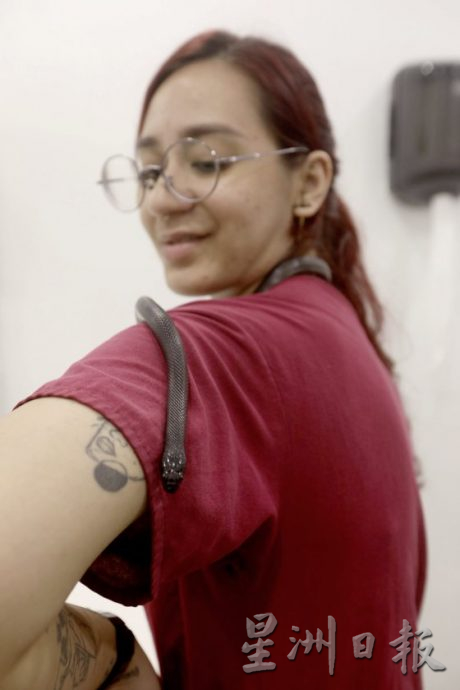 【与蛇同行／02】宠物蛇生病了，看异宠兽医如何诊治！──兽医黄立凯