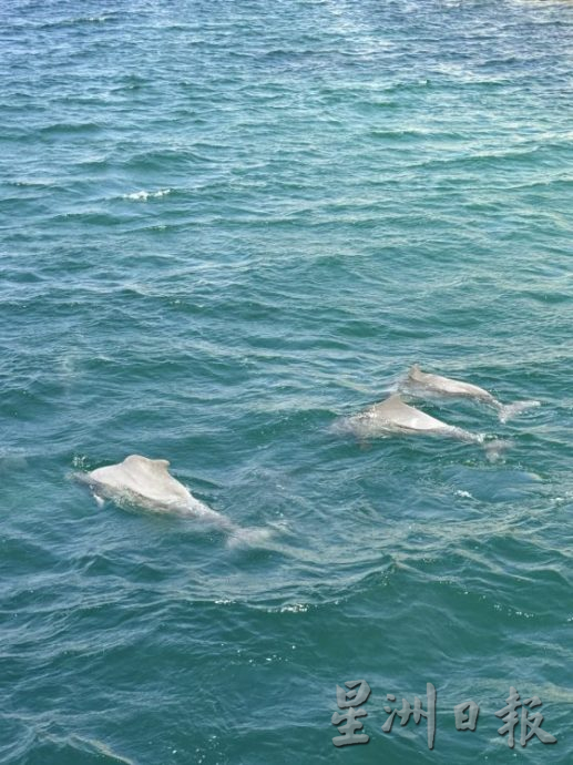 【迪拜】搭乘名胜世界邮轮,3航线探索阿拉伯湾风情