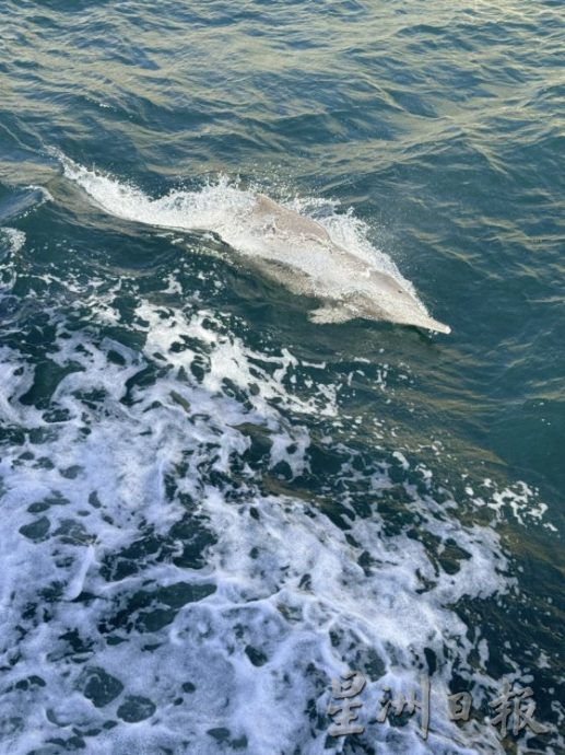 【迪拜】搭乘名胜世界邮轮,3航线探索阿拉伯湾风情