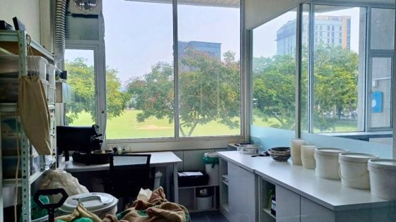 【马来西亚‧霹雳】怡保──处处景观，息息啡香