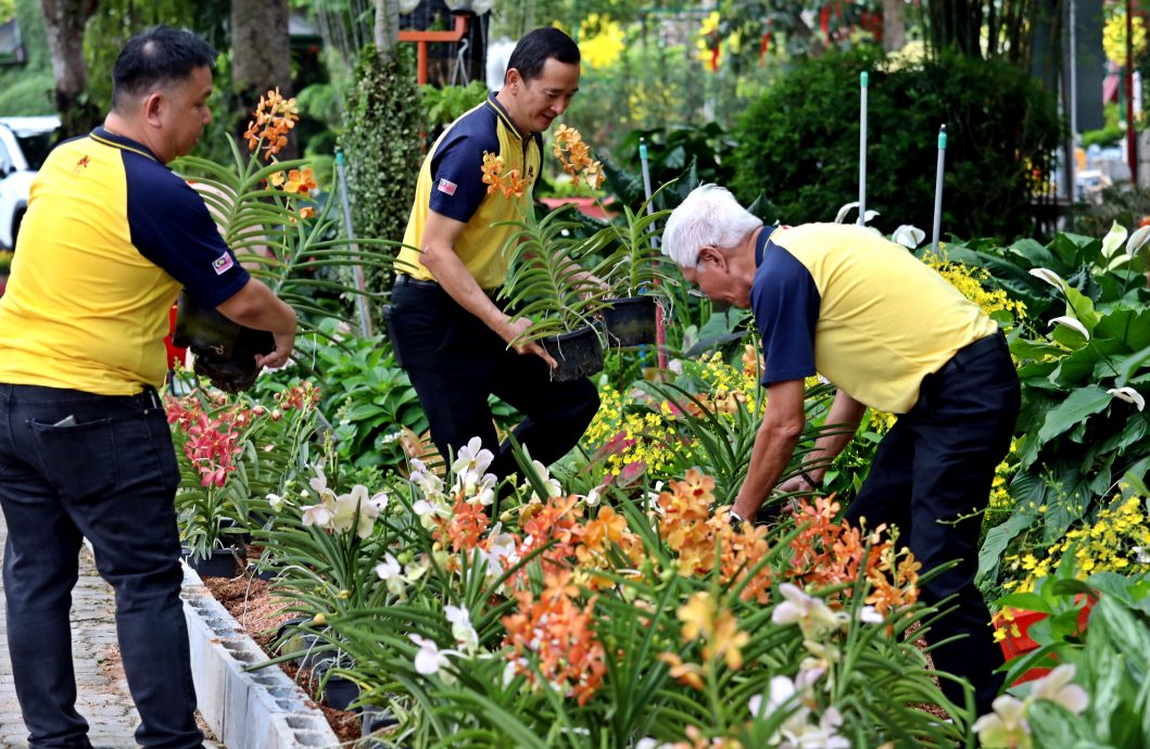 东禅寺灯会/主文/东禅寺平安灯会暨花艺展 媒体率先开箱 