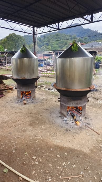 东：年糕飘香迎新年，柴火烹制传承百年手艺