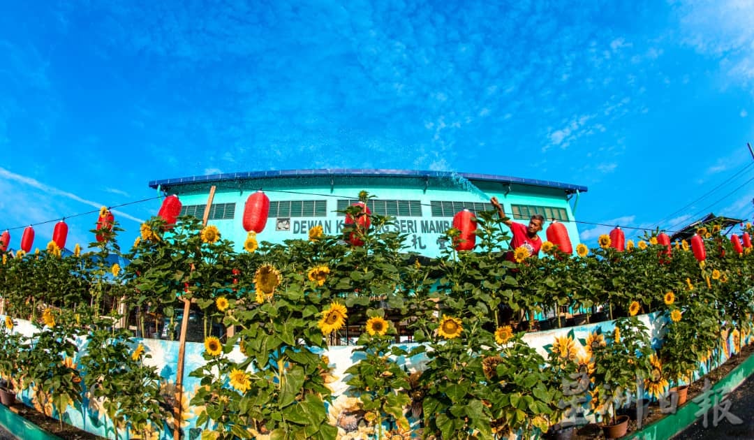 供星洲网:半岛心旅行:融合历史与现代的半日游 来万茂新村体验“新村三宝”