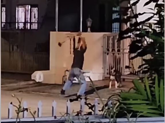 巴占丽雅花园发生虐狗事件 男子持锤头及刀具击狗 