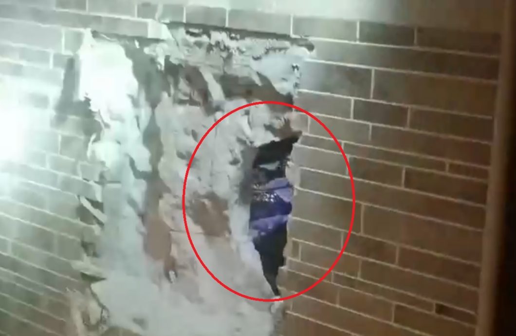 公寓蛇年迎蟒蛇 消防员凿壁捕蛇