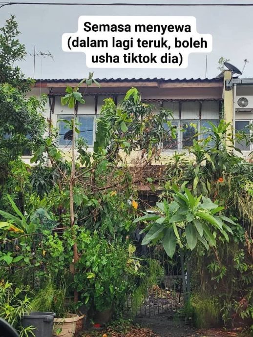 出租排屋草木丛生 “地狱租客”欠水电租金逾3万