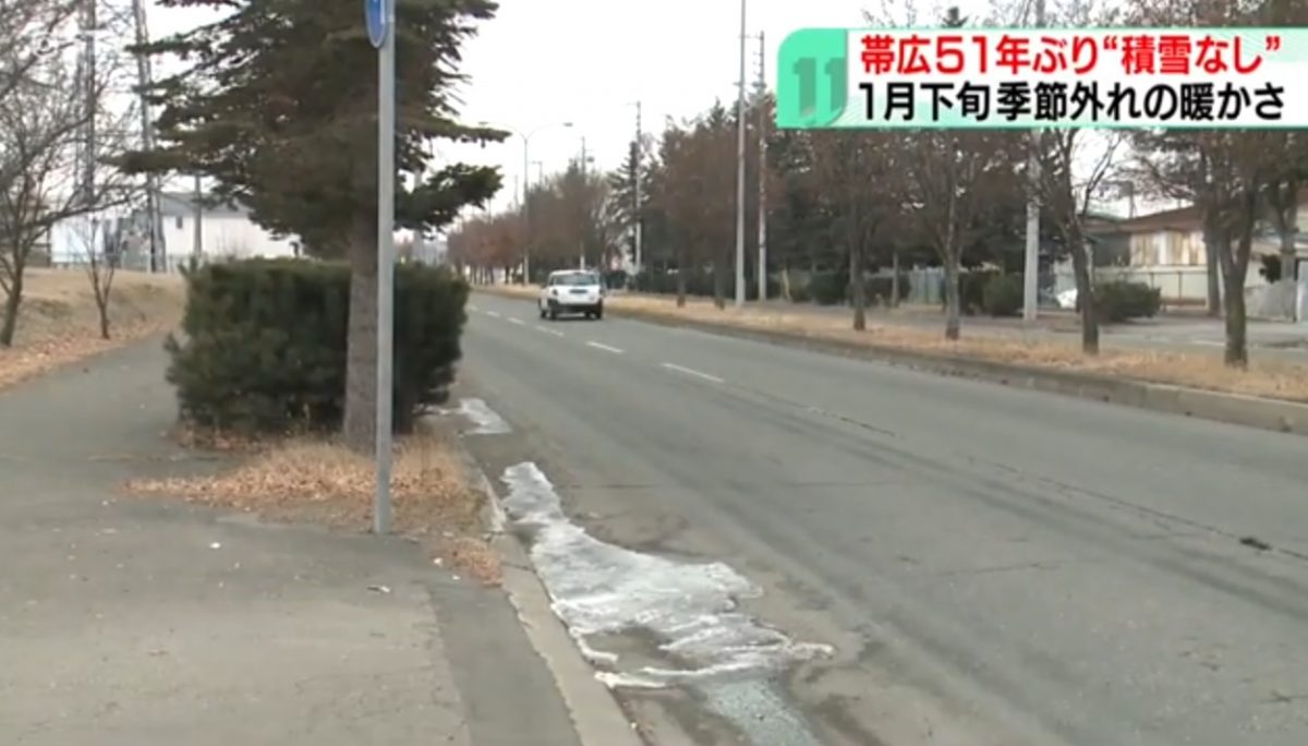 北海道异常温暖 带广市时隔51年无积雪