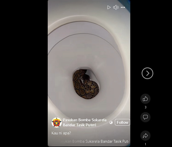 大都会/星洲人VIP特稿/无名英雄驾破车闯灾场救人畜 万挠公主湖镇志愿消拯队求募款待捐资金改善硬体设施