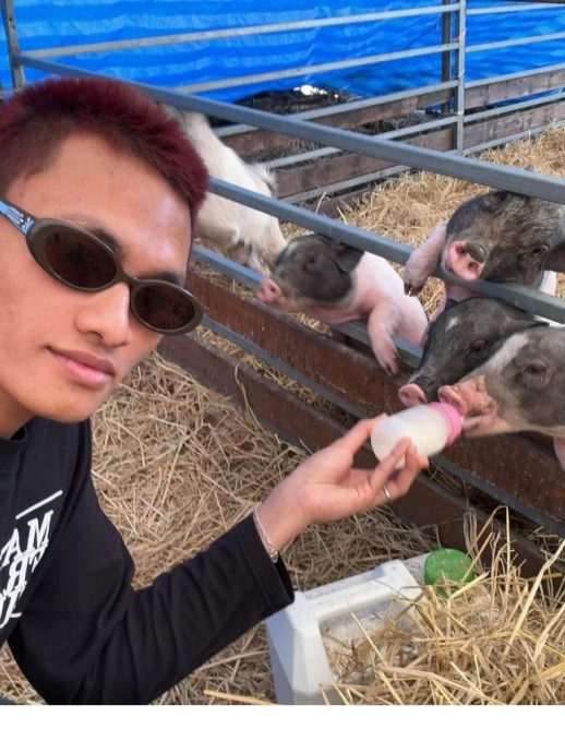 大马网红喂小猪喝奶引争议 穆传教士相挺：这是高尚行为