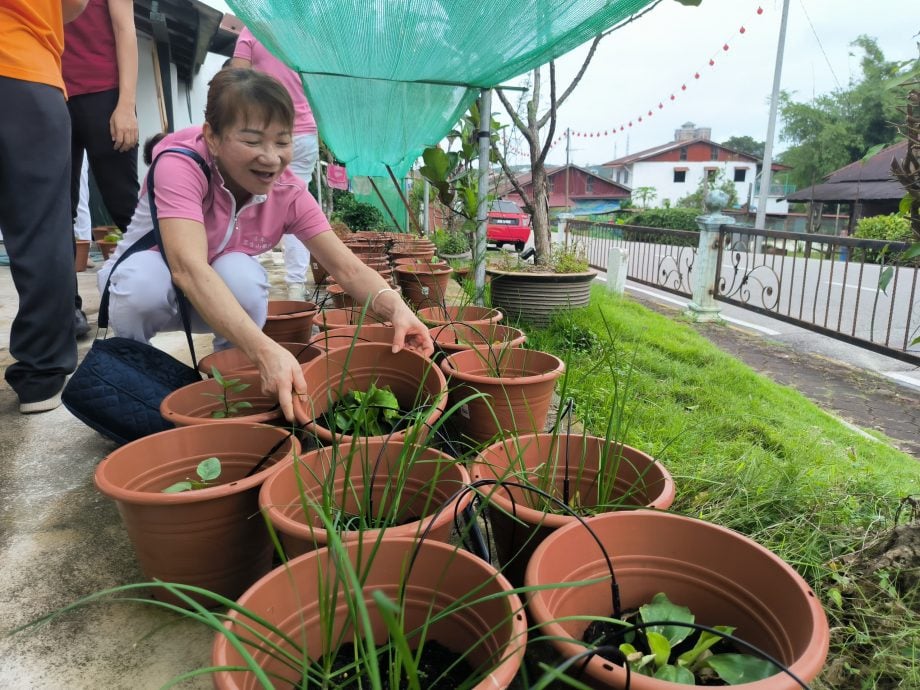 **已签发**柔：头条之一：客家耕读文化，扎根古来老街