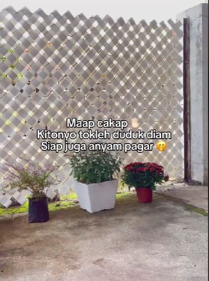 已签发(全国)/租客巧手装饰 铁篱笆变英伦白色栅栏