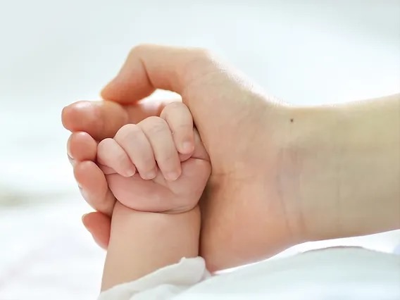 怒斥福利局拒生育补贴 七宝妈反遭网嘲丢人现眼