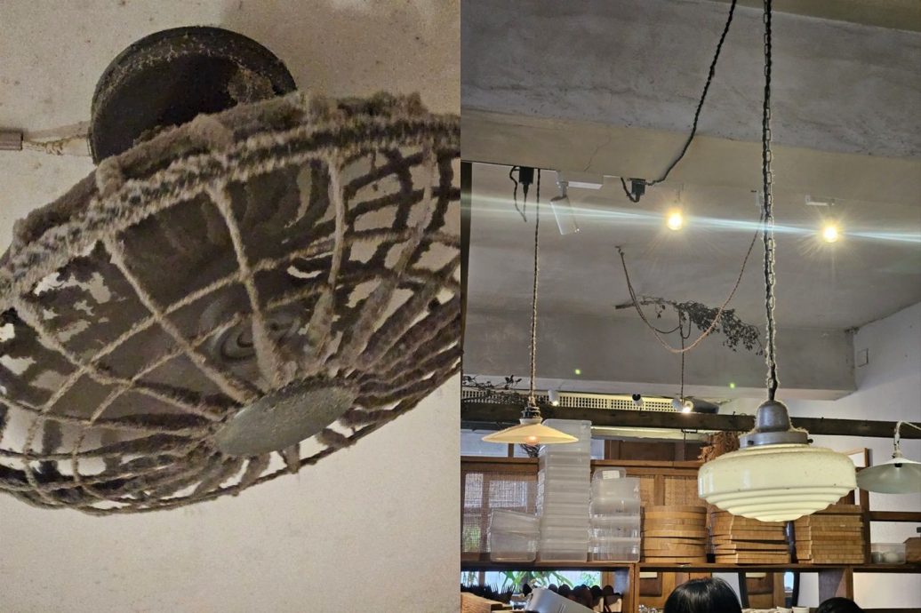 抬头惊见电扇吊灯“长毛” 台网红咖啡厅卫生引争议