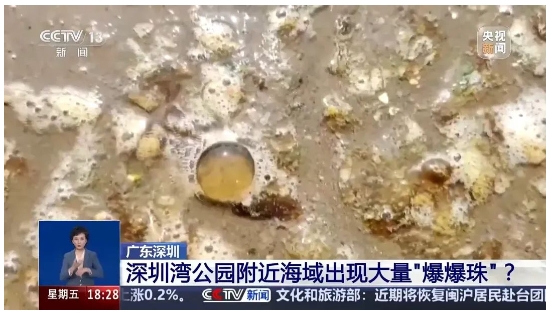 拚图)华南沿海现赤潮 专家吁勿游玩