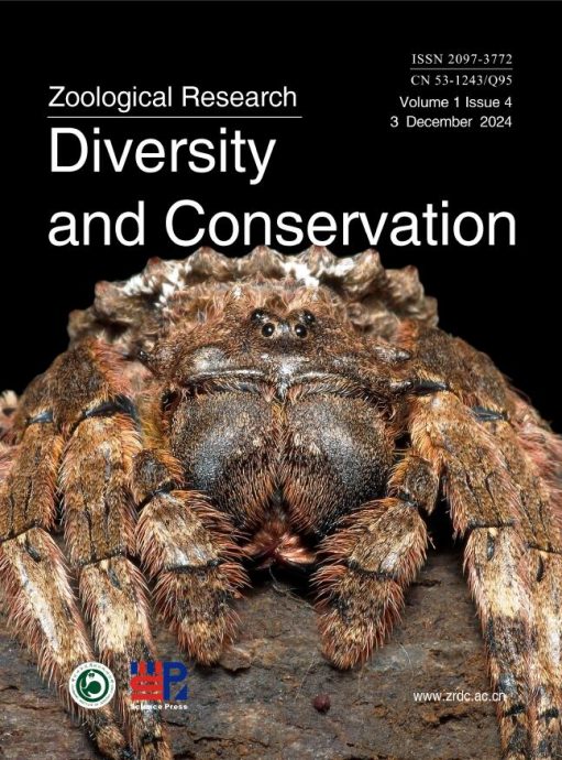 拼盘 歌迷已成科学家 16新属种蜘蛛以周杰伦歌曲命名