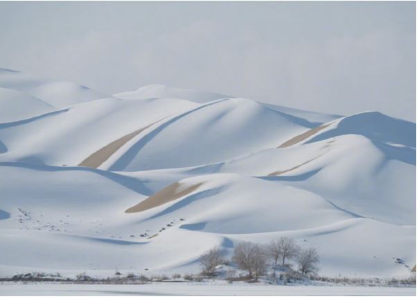 拼盘 沙海变「雪海」! 塔克拉玛干沙漠降雪…雾凇奇观美如画