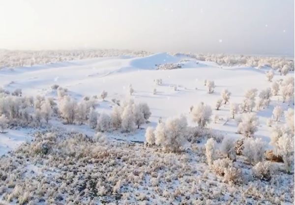 拼盘 沙海变「雪海」! 塔克拉玛干沙漠降雪…雾凇奇观美如画
