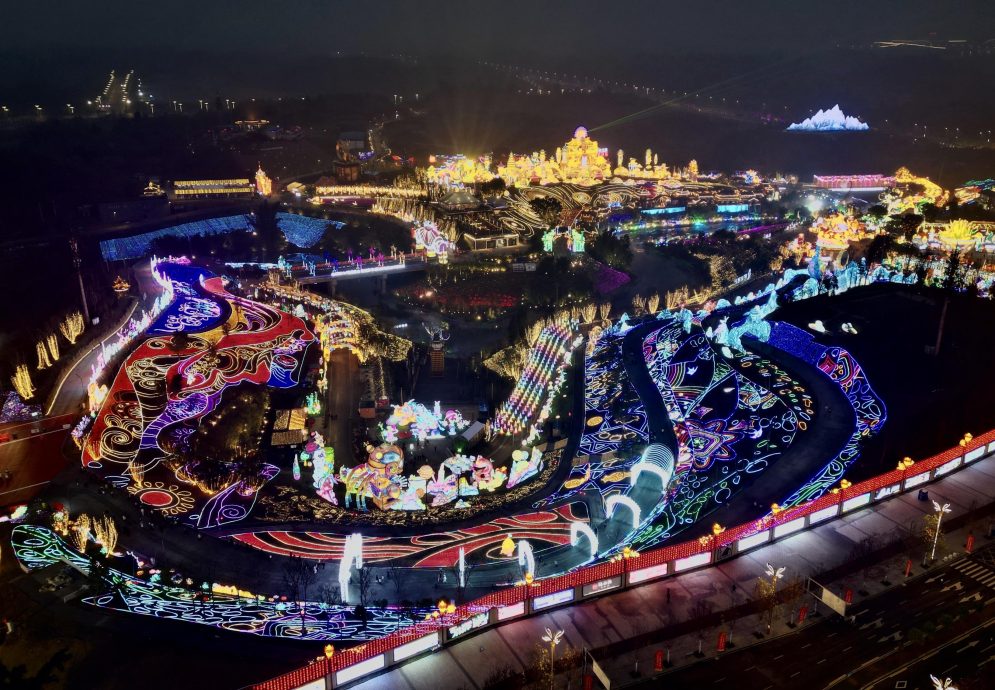 拼盘/第31届自贡国际恐龙灯会正式亮灯 喜迎八方来客