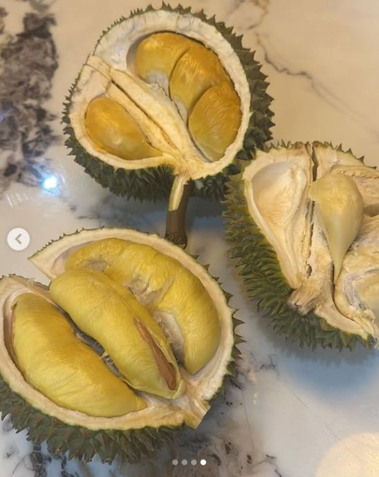 正式收工过年 胡定欣在马吃榴梿庆功