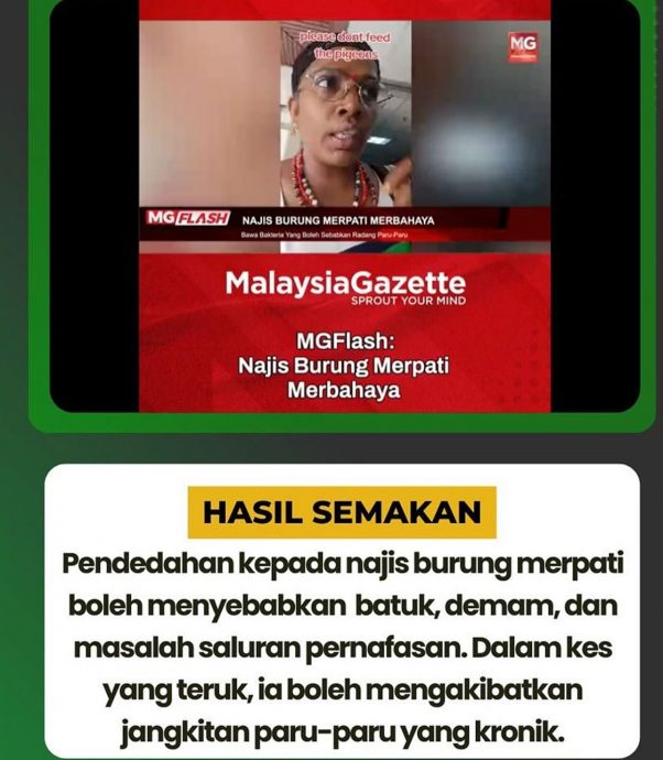 求真/鸽子粪便会导致肺炎，MyCheck：真的