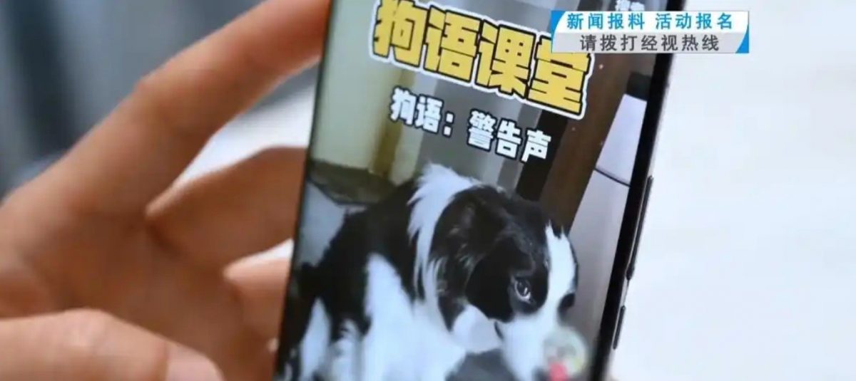 **看世界（只供网）**为驯服爱犬学“狗语”，“呜”一声脸部被撕咬