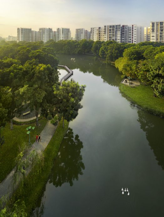 胡志明市发展一日千里  金务大置地深耕有成