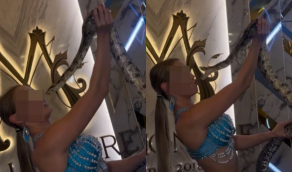 视频|女子逗弄蟒蛇合照 鼻子惨被狠咬一口