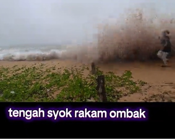 视频|惊魂时刻!岸边拍照遭浪袭 还险遭树干击中