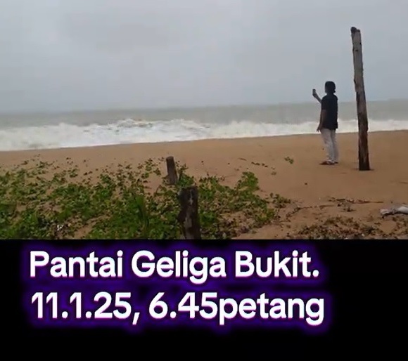 视频|惊魂时刻!岸边拍照遭浪袭 还险遭树干击中