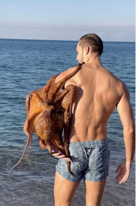 视频|意大利男模魅力无法挡 海岛度假遭八爪鱼抱大腿