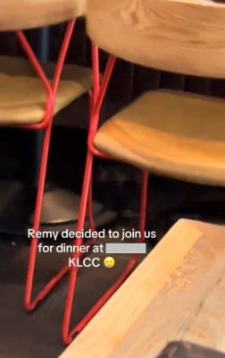 视频|连锁餐厅惊见“料理鼠王”！女子：请送它回家 