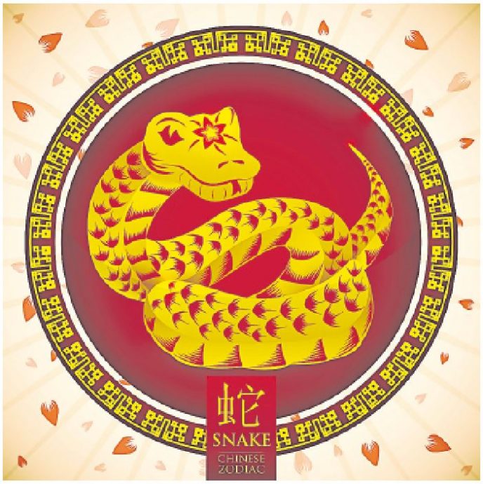 金蛇狂5|5大企业蛇盘聚宝