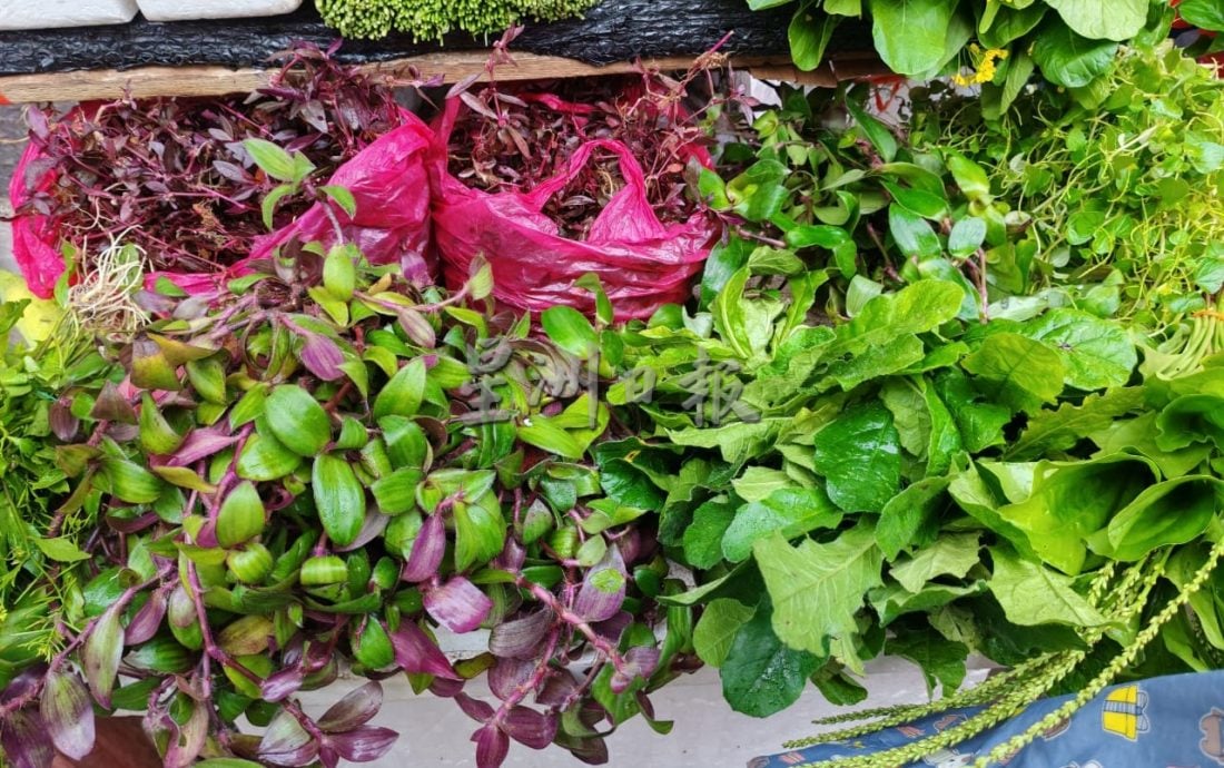 星角摄/草药养生祖传秘方