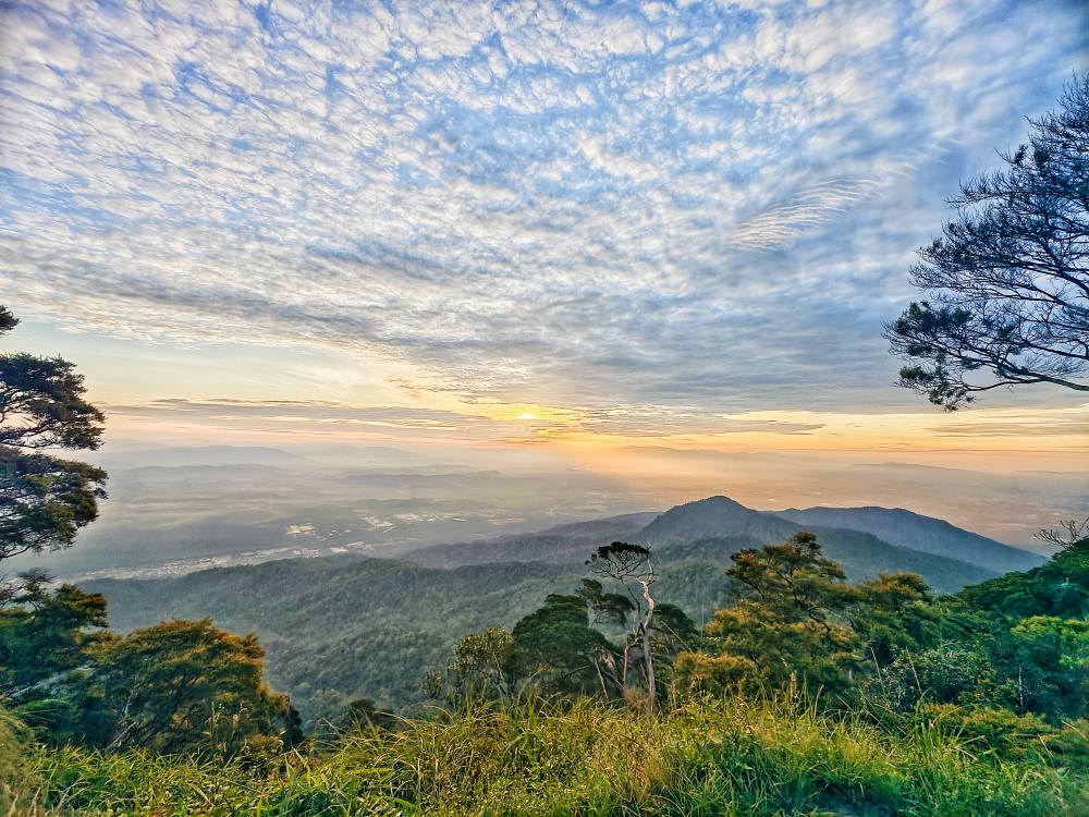 (4/1见报)星角摄/日莱峰避暑好去处,俯视田野感受花海美景