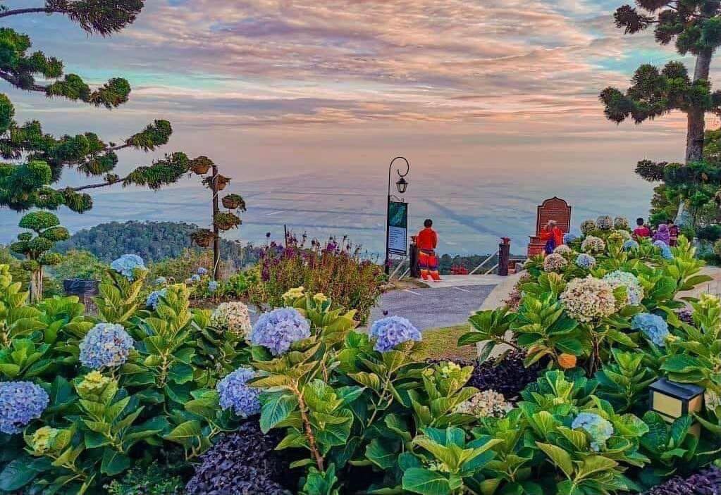 (4/1见报)星角摄/日莱峰避暑好去处,俯视田野感受花海美景