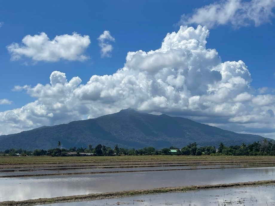 (4/1见报)星角摄/日莱峰避暑好去处,俯视田野感受花海美景