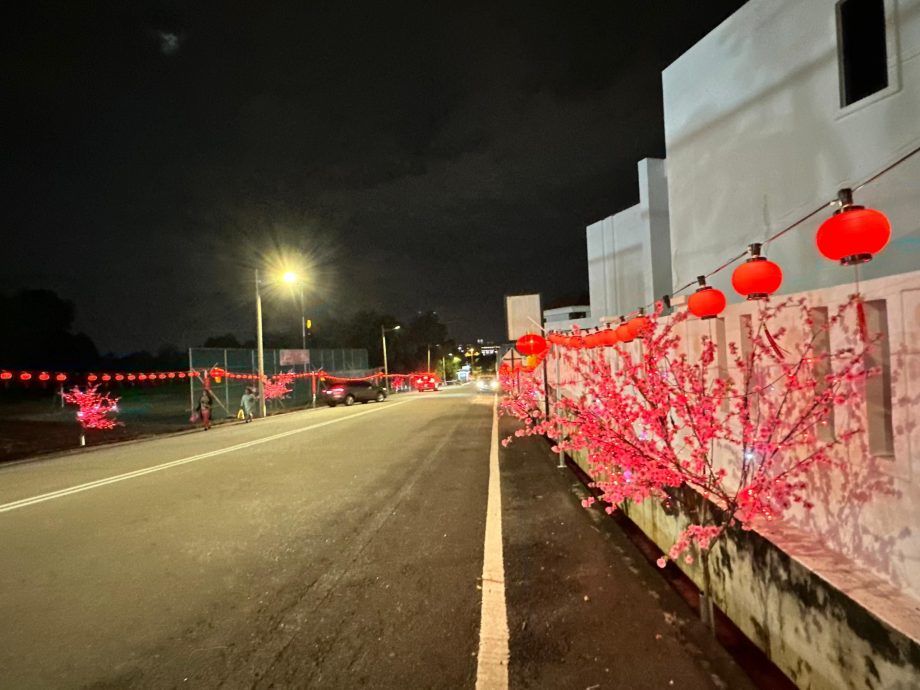 (古城封面副文)柏淡岭花园居民自费2万庆新年