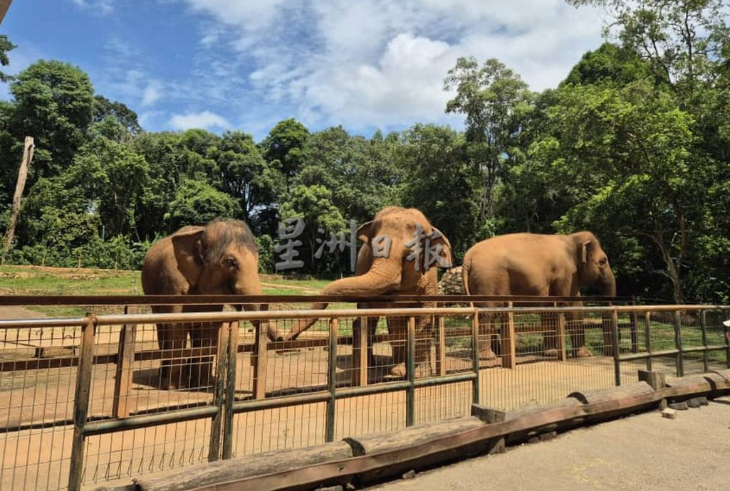 (古城第二版副文)马六甲旅游年延长至2026年